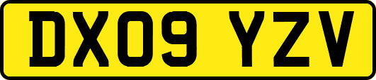 DX09YZV