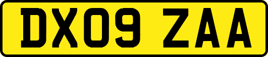 DX09ZAA