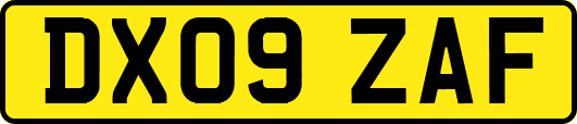 DX09ZAF