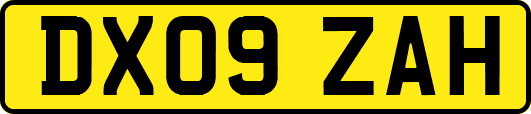 DX09ZAH