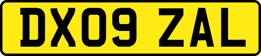 DX09ZAL