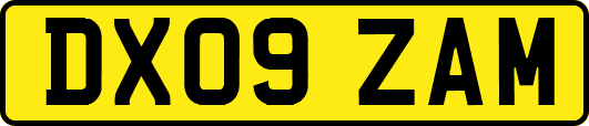 DX09ZAM