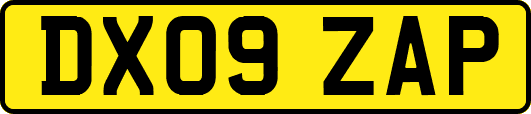DX09ZAP