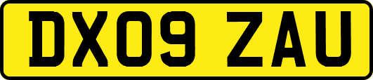DX09ZAU