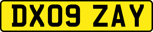 DX09ZAY