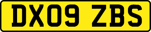 DX09ZBS