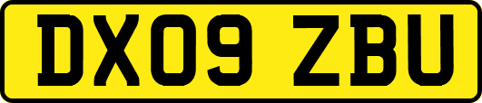 DX09ZBU