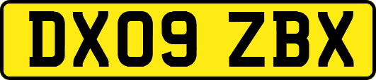 DX09ZBX