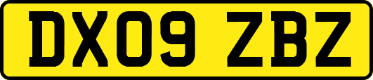 DX09ZBZ