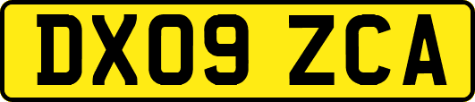 DX09ZCA