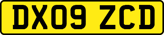 DX09ZCD