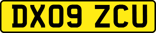 DX09ZCU