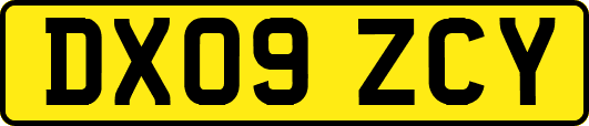 DX09ZCY