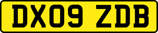 DX09ZDB