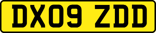 DX09ZDD