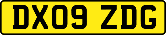 DX09ZDG