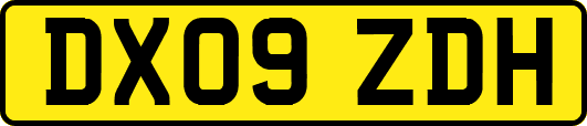 DX09ZDH
