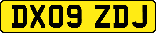 DX09ZDJ