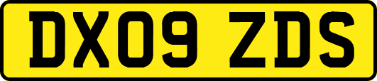 DX09ZDS