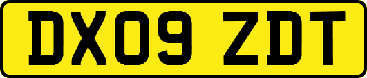 DX09ZDT