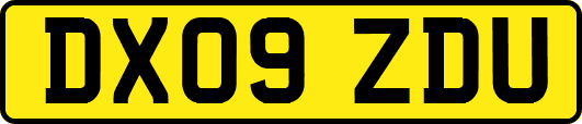 DX09ZDU