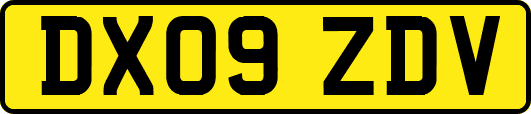 DX09ZDV