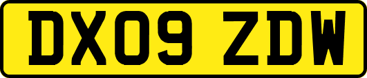 DX09ZDW