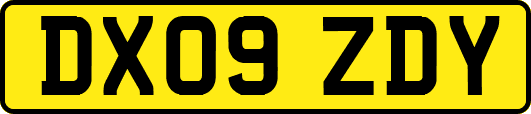 DX09ZDY