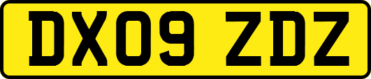 DX09ZDZ