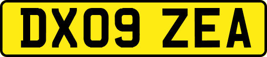 DX09ZEA