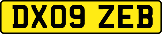 DX09ZEB
