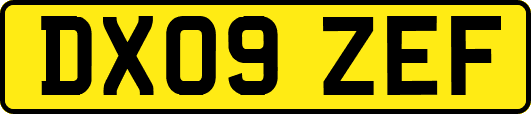 DX09ZEF