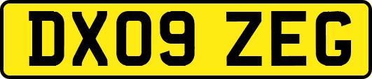 DX09ZEG