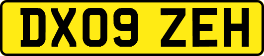 DX09ZEH