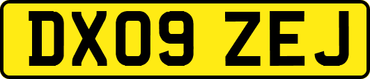 DX09ZEJ