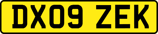 DX09ZEK