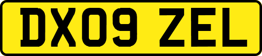 DX09ZEL