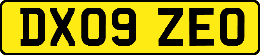 DX09ZEO