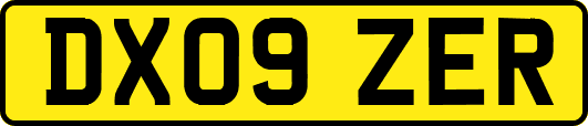 DX09ZER