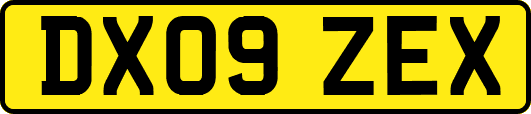 DX09ZEX