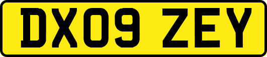 DX09ZEY