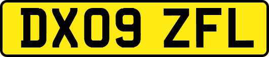 DX09ZFL