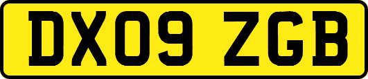 DX09ZGB