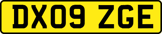 DX09ZGE