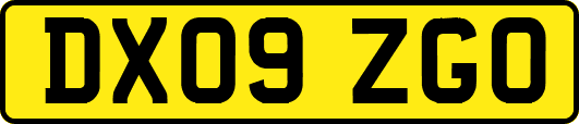 DX09ZGO