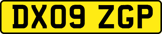 DX09ZGP