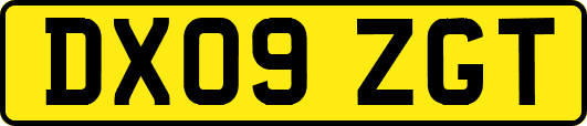 DX09ZGT