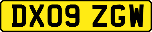 DX09ZGW