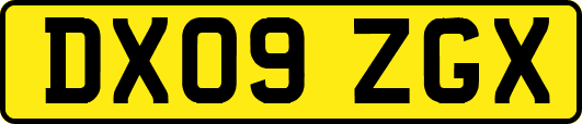 DX09ZGX