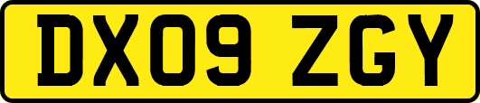 DX09ZGY